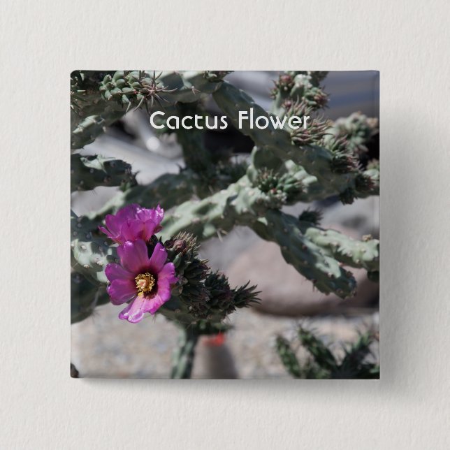 Challa Cactus in bloom Button (Front)