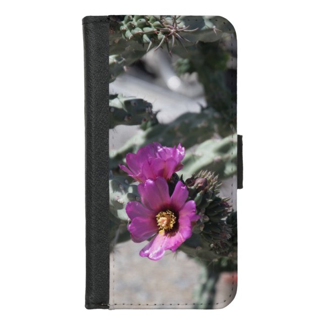 Challa Cactus in bloom  iPhone Wallet Case (Front)