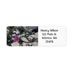 Challa Cactus in bloom Label
