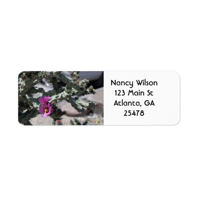 Challa Cactus in bloom Label (Front)