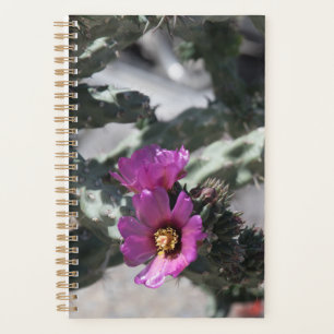 Challa Cactus in bloom  Planner
