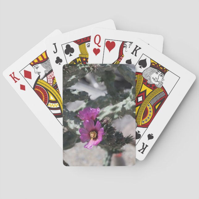 Challa Cactus in bloom  Poker Cards (Back)
