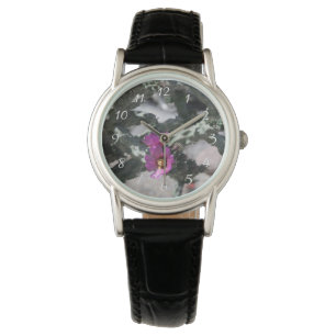 Challa Cactus in bloom Watch