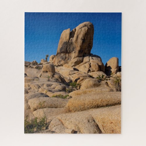Challenging Desert Boulder Puzzle
