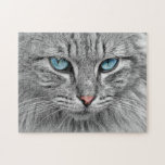 Challenging Gray Tabby Cat with Blue Eyes Jigsaw Puzzle<br><div class="desc">With the various shades of gray,  on this tabby cat,  it may prove challenging for some. But I know you love a difficult puzzle. With striking blue eyes,  this close up cat image will be an ideal way for all cat lovers to have a peaceful time.</div>