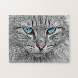 Gray and White Tabby Kitty Cat PUZZLE 48 piece jigsaw puzzle Adorable Blue Eyes