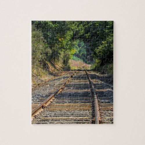 Challenging Railroad Tracks Puzzle