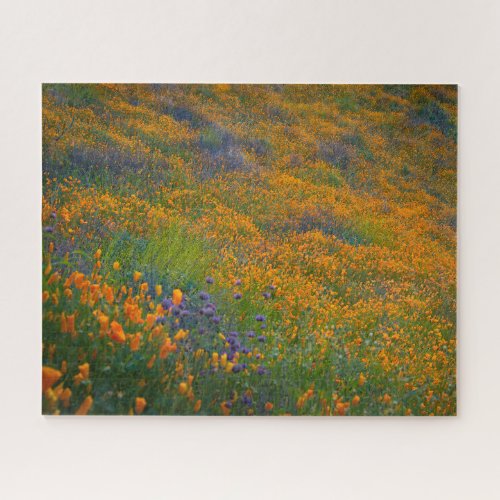 Challenging Wildflower Super Bloom Jigsaw Puzzle