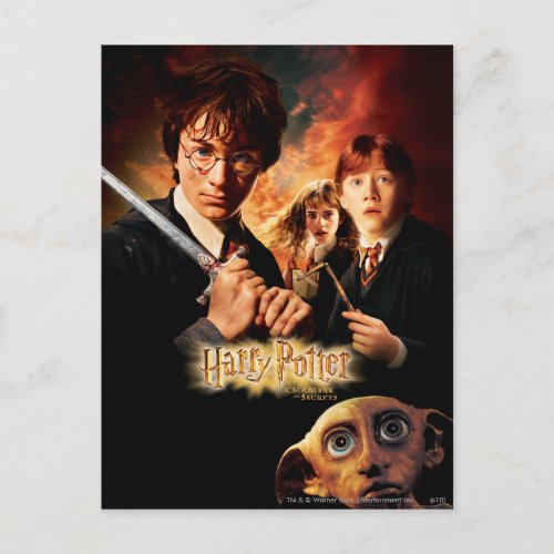 Chamber of Secrets _ French Postcard