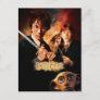 Chamber of Secrets - French Postcard