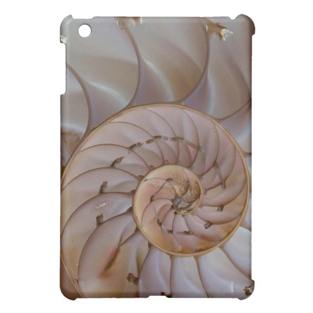 Chambered Nautilus iPad Mini Case (Back)