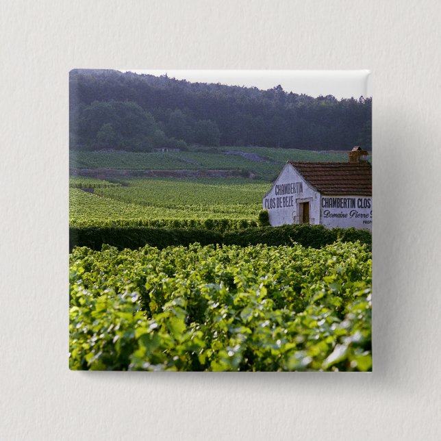 Chambertin Clos de Beze Grand Cru vineyard with Pinback Button (Front)