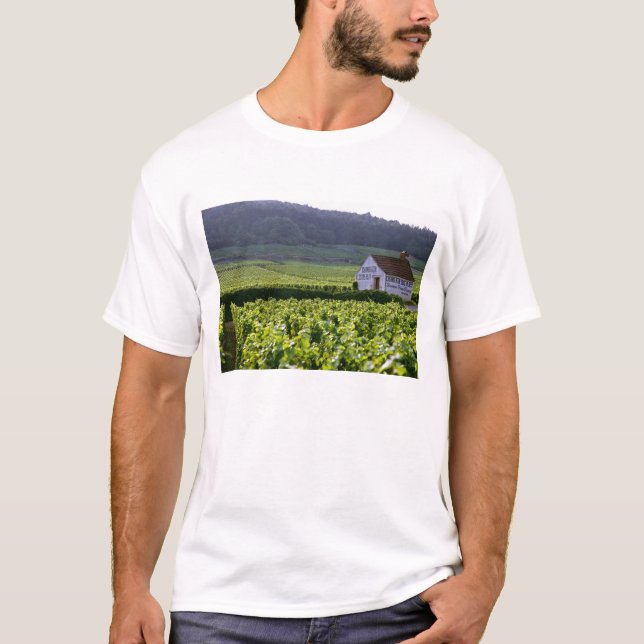 Chambertin Clos de Beze Grand Cru vineyard with T-Shirt (Front)