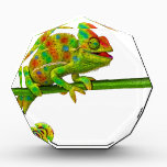 Chameleon Award<br><div class="desc">Chameleon</div>