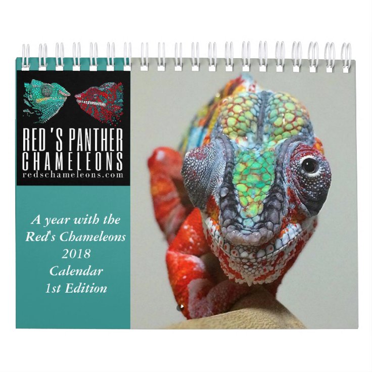 Chameleon Calendar Zazzle