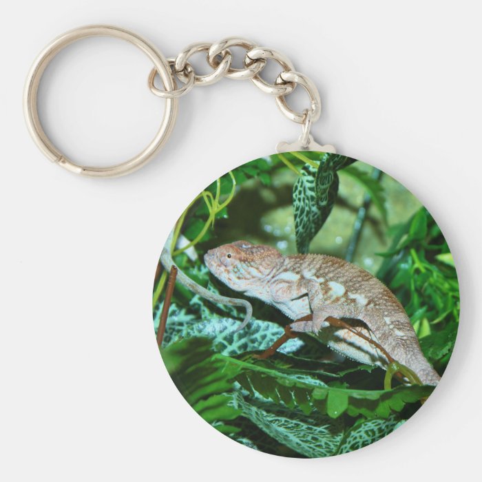 Chameleon changing in green environment keychains