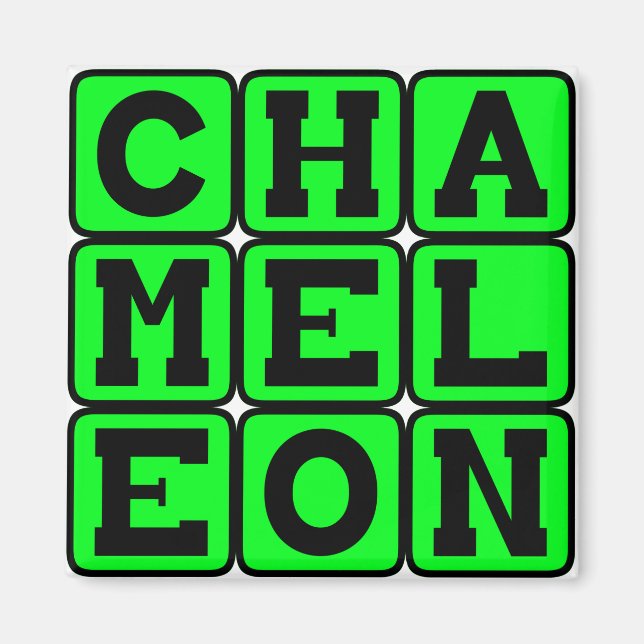 Chameleon, Color-Changing Lizard Magnet (Front)