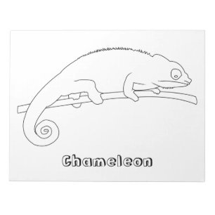 Chameleon coloring notepads fun activity