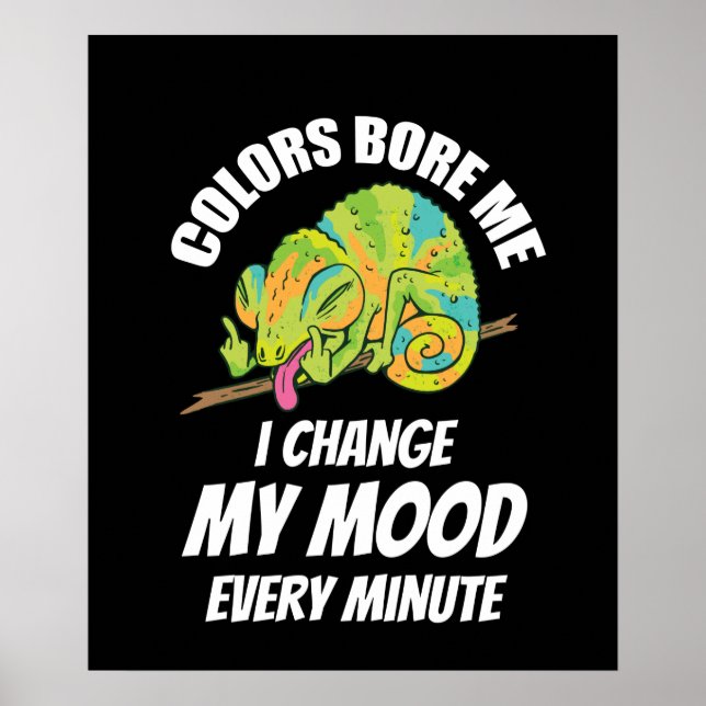 Chameleon - Colors Are Boring Poster (Front)