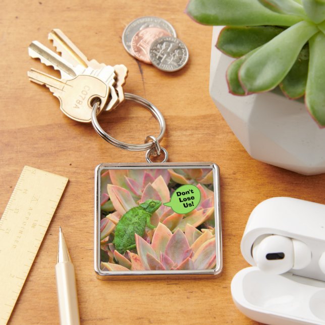 CHAMELEON, "Don't Lose Us" Keychain (Desk)