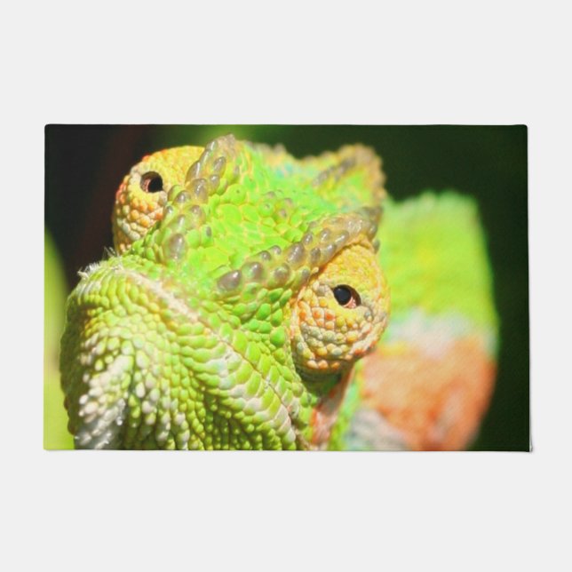Chameleon Doormat (Front)