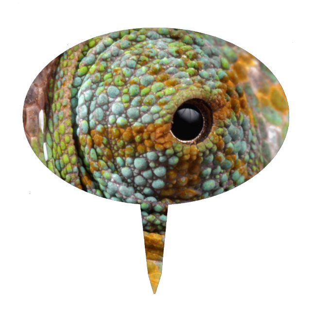 Chameleon Eye Mod Stylish Animal Cake Topper (Front)