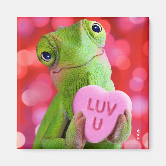 Chameleon Heart (Luv U) Magnet (Front)