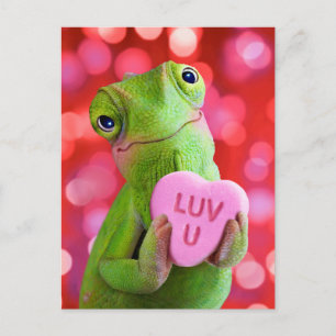 Chameleon Heart (Luv U) Postcard