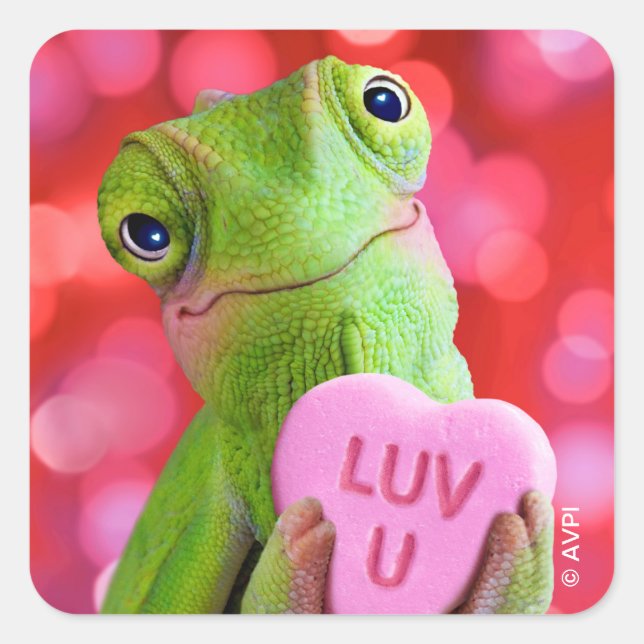 Chameleon Heart (Luv U) Square Sticker (Front)