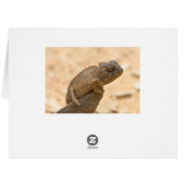 Chameleon in Namibia Cards (Back Horizontal)
