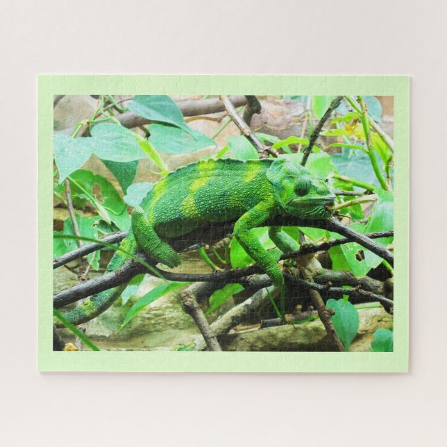 Chameleon Jigsaw Puzzle (Horizontal)