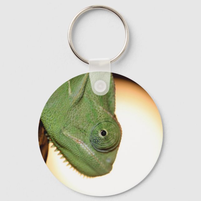 chameleon keychain (Front)