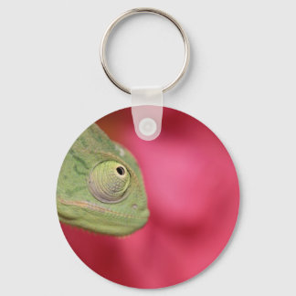 chameleon keychain