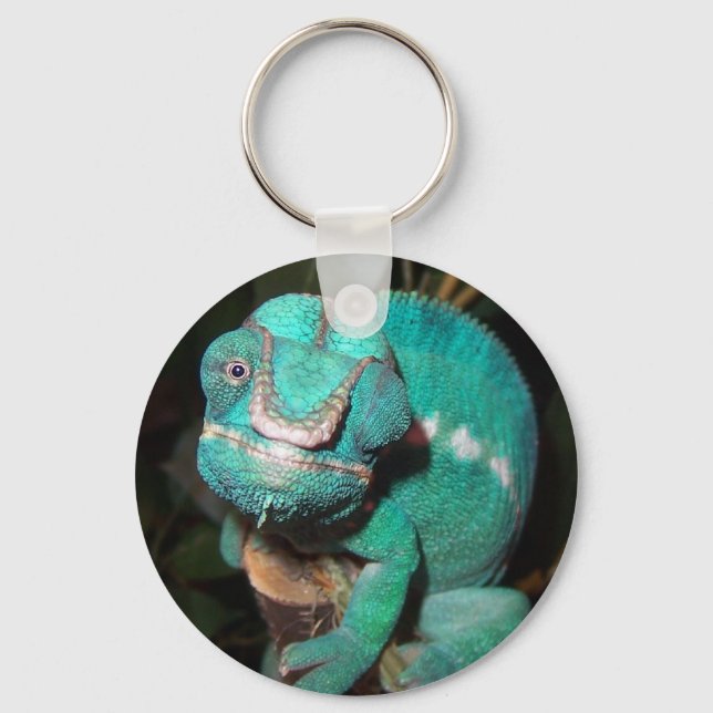 Chameleon Keychain (Front)
