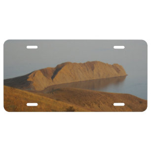 Chameleon License Plate