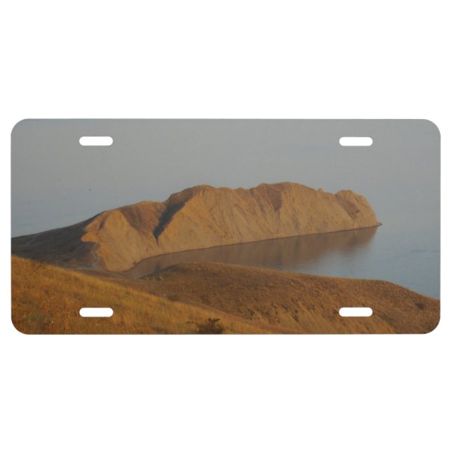 Chameleon License Plate (Front)