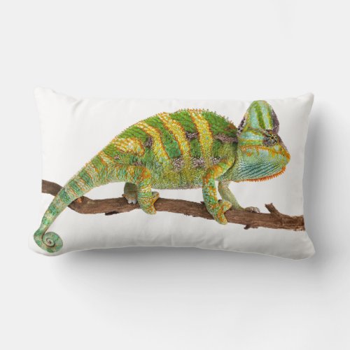 Chameleon Lumbar Pillow