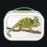 Chameleon Lunch Box<br><div class="desc">Vivid and brightly colored photograph of a grumpy looking Chameleon.</div>