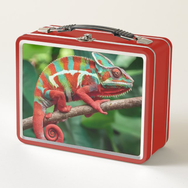 Chameleon  metal lunch box (Front)