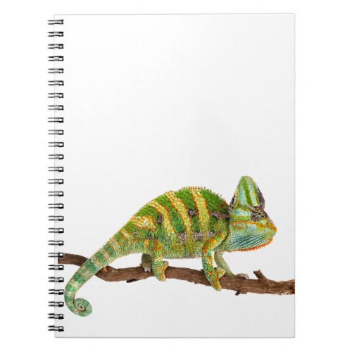 Chameleon Notebook