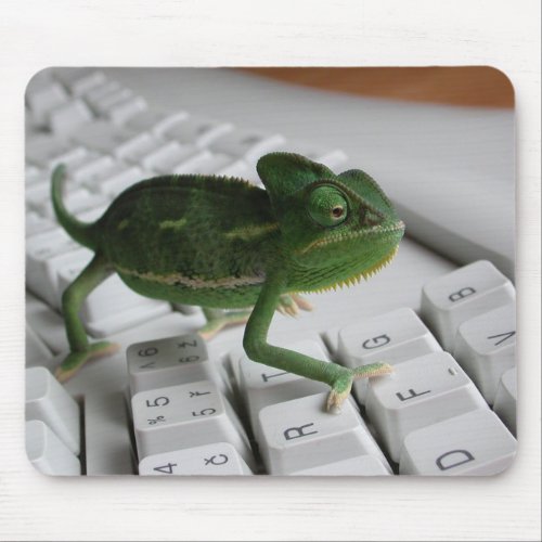 Chameleon on Keyboard Mouse Pad