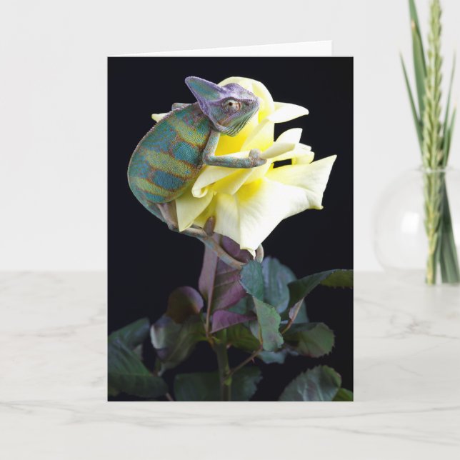 Chameleon on Yellow Rose Card (Front)