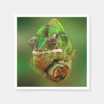 Chameleon Photo Paper Napkins by Argos_Photography at Zazzle