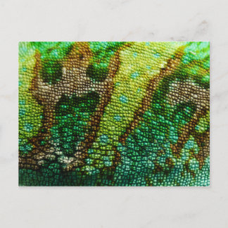 Chameleon Skin Postcard