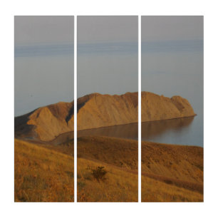 Chameleon Triptych