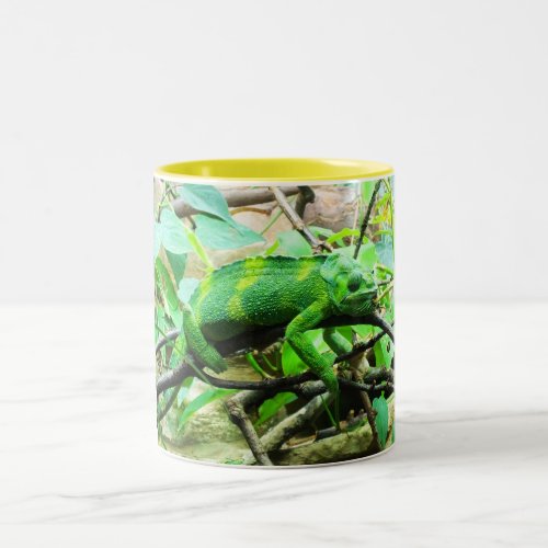 Chameleon Two_Tone Coffee Mug