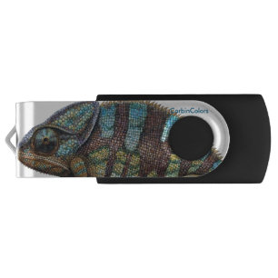 chameleon USB flash drive