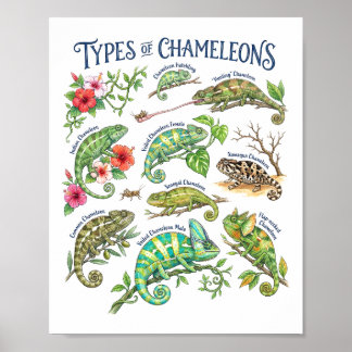 Chameleons Watercolor Reptile Wildlife Art Poster