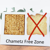 Chametz Free Zone Cards