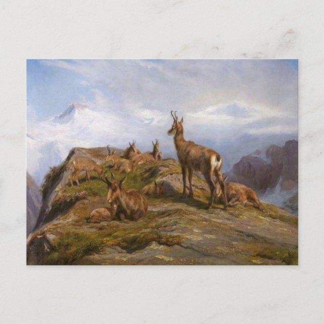 Chamois by Rosa Bonheur Postcard (Front)